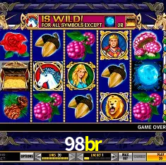 98br Rio de Janeiro - Bonus Terms
